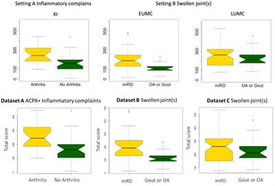 Rheumatic?—A Digital Diagnostic Decision Support Tool for Individuals Suspecting Rheumatic Diseases: A Multicenter Pilot Validation Study